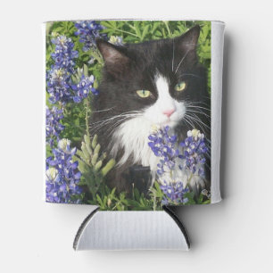 Seulement mon chat comprend que je peut glacière