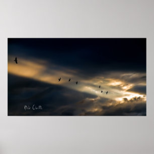 Seven Bird Vision, Bob Orsillo Poster