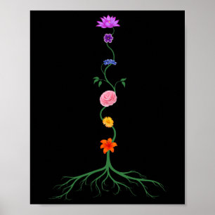 Seven Chakras As Chakra Coloured Flowers, Yoga And Poster