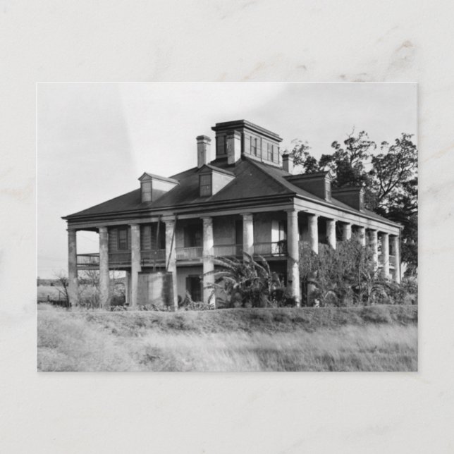 Seven Oaks Plantation, Westwego LA Postcard (Front)