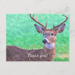 Seven Point Buck Painterly Thank You Postcard