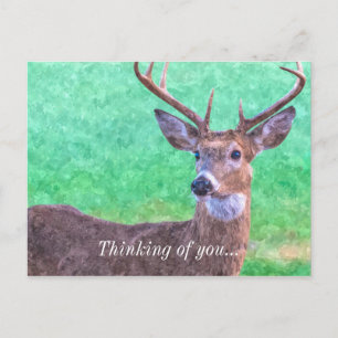 Seven Point Buck Painterly Thinking Of You Postcard