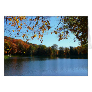 Seven Springs Fall Trees and Pond