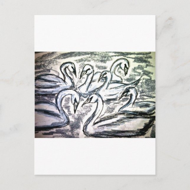 Seven Swans A Swimming Postcard (Front)