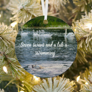 seven swans and a lab a swimming metal ornament