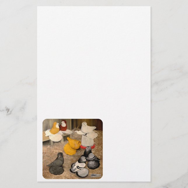 Seven Trumpeter Pigeons (Front)