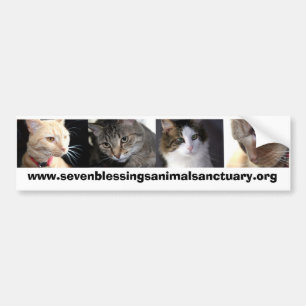 sevenblessingsanimalsanctuary.org bumper sticker