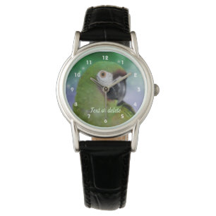 Severe Macaw Parrot Animal Personalized Watch