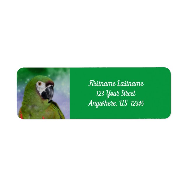 Severe Macaw Parrot Bird Address (Front)