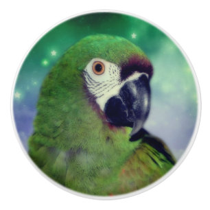 Severe Macaw Parrot Close Up Ceramic Knob