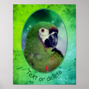 Severe Macaw Parrot Personalized Words Poster