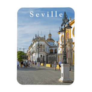 Seville. #23. magnet
