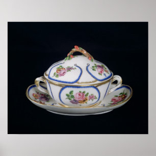 Sevres bowl and plate, 1764 poster