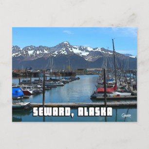 Seward Boat Harbour 2 - Postcard