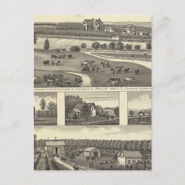 Seward Farms, Nebraska Postcard (Front)