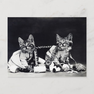 Sewing Kitties Vintage Black and White Postcard