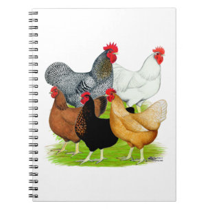 Sex-linked Chickens Quintet Notebook