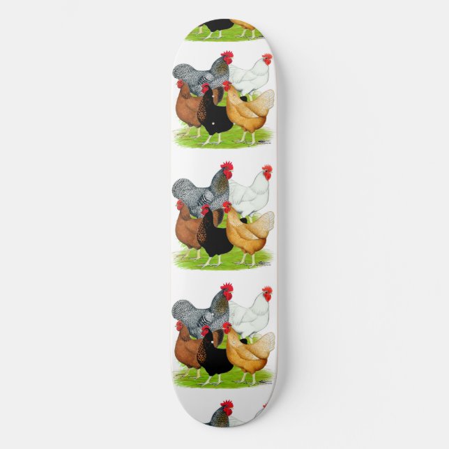 Sex-linked Chickens Quintet Skateboard (Front)