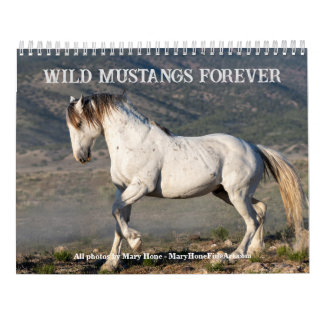 Sexy Stallions 2025 Calendar