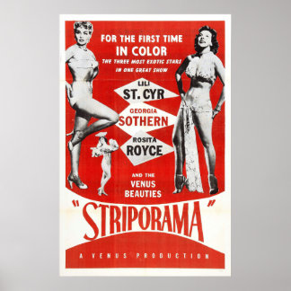 Sexy ! Vintage pin up girl Poster