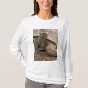 Seychelle Aldabran land tortoise T-Shirt