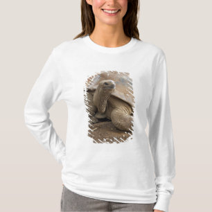 Seychelle Aldabran land tortoise T-Shirt