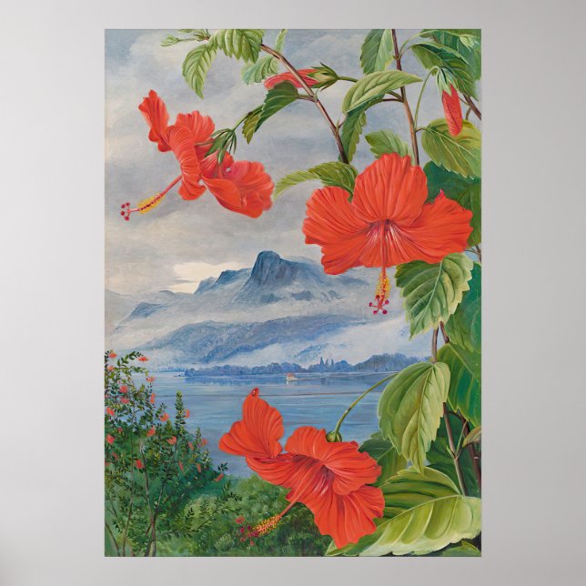 Seychelles by Marianne North - Exotic Landscape Poster (Front)