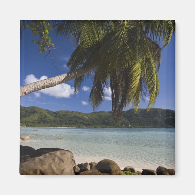 Seychelles, Mahe Island, Anse a la Mouche Magnet (Front)