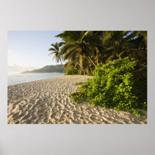 Seychelles, Mahe Island, Anse Marie-Louise Poster