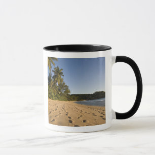 Seychelles, Mahe Island, Anse Takamaka beach, 2 Mug