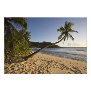 Seychelles, Mahe Island, Anse Takamaka beach, Photo Print