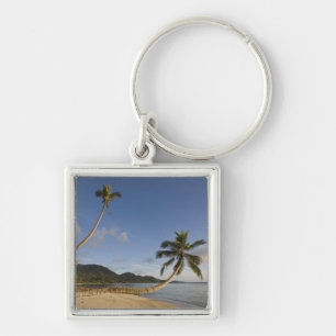 Seychelles, Mahe Island, horizontal palm, Keychain