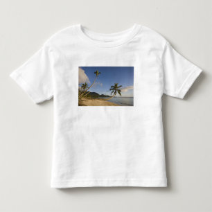 Seychelles, Mahe Island, horizontal palm, Toddler T-shirt