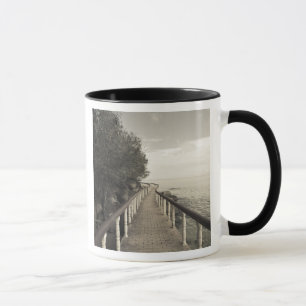 Seychelles, Praslin Island, Anse Bois de Rose, Mug