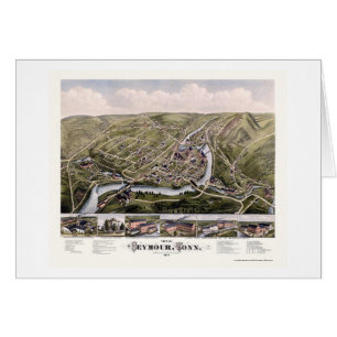 Seymour, carte panoramique de CT - 1879