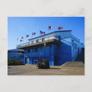 SF Aquarium of the Bay #4-2 Postcard