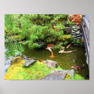 SF Jardin japonais de thé Koi Pond #1 Poster