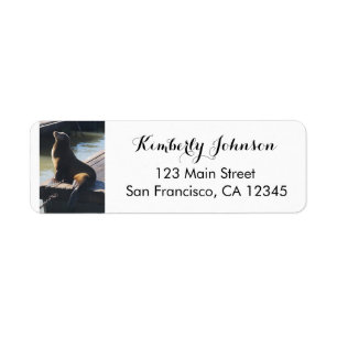 SF Pier 39 Sea Lion #2 Return Address Labels