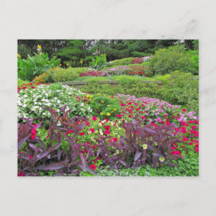 SG Landscape Postcard #40N  040