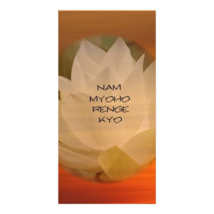 SGI Buddhist Photo Card: Lotus Nam Myoho Renge Kyo Card