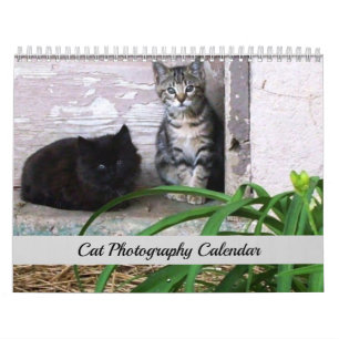 Sgolis Original Cat Photography Calendar