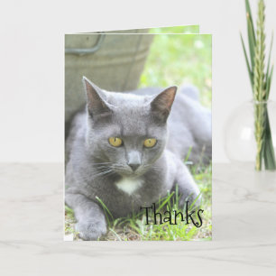 Shabby Chic Card