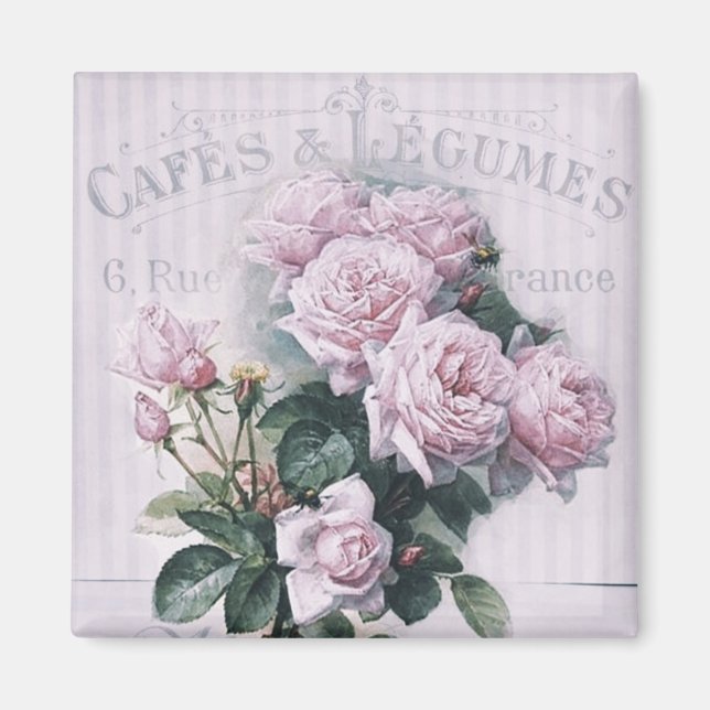 Shabby chic,decoupage,victorian,french chic, Paris Magnet (Front)