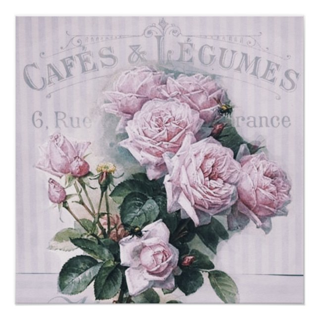 Shabby chic,decoupage,victorian,french chic, Paris Poster (Front)