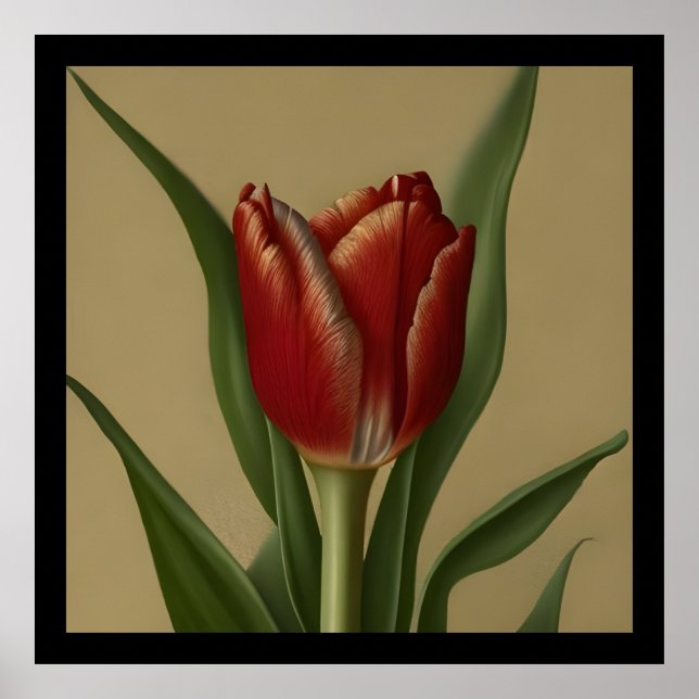 Shabby Chic Lovely  Red Tulip  Poster (Front)