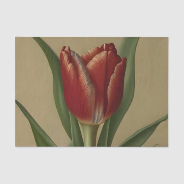 Shabby Chic Lovely  Red Tulip  Tissue Paper (Front)