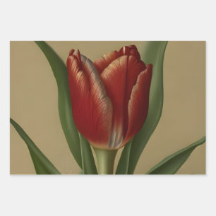 Shabby Chic Lovely  Red Tulip  Wrapping Paper Sheet