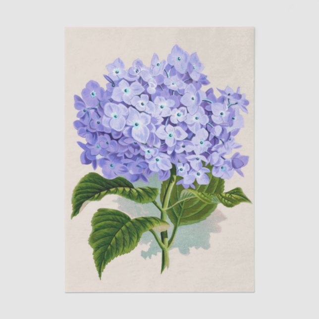 Shabby Chic Pastel Violet Light Purple Flowers Tissue Paper (Front)