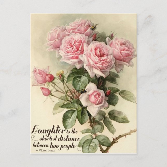 Shabby Chic Pink Victorian Roses Postcard (Front)