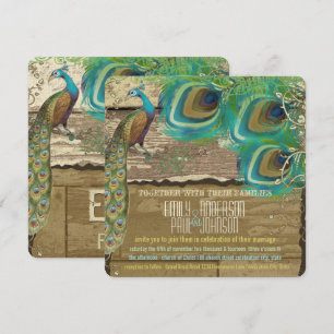 Shabby Country Peacock Vintage 3 Feathers Old Wood Invitation